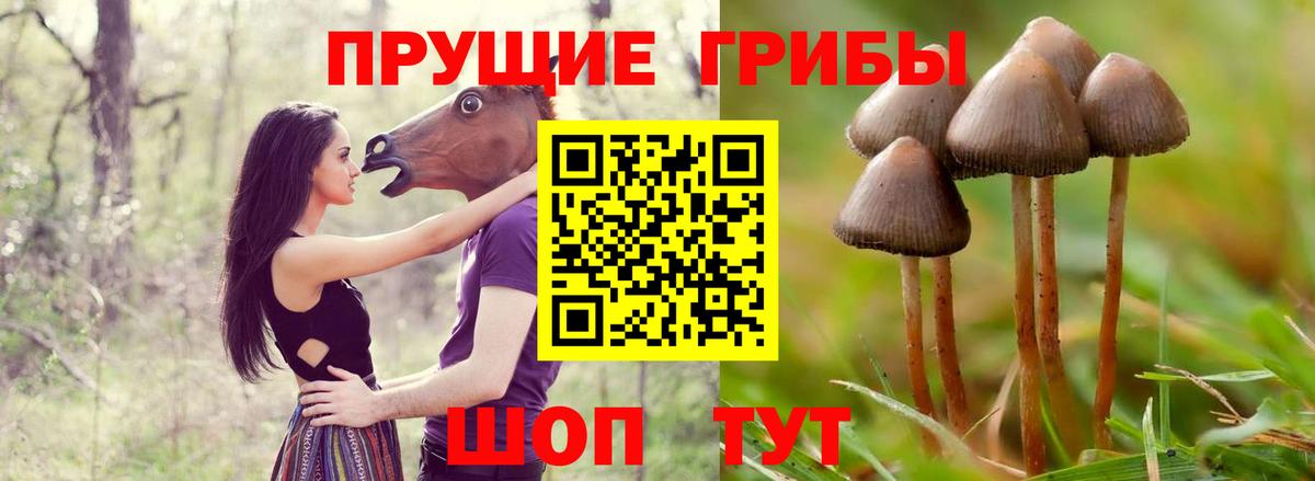 Галлюциногенные грибы мицелий Кимры