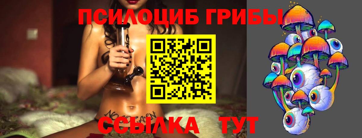 что такое   Вход с VPN  Кимры  Псилоцибиновые грибы GOLDEN TEACHER  Псилоцибиновые грибы ЛСД 